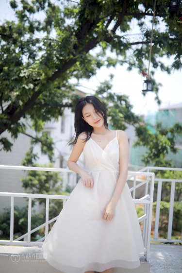 但愿人长久