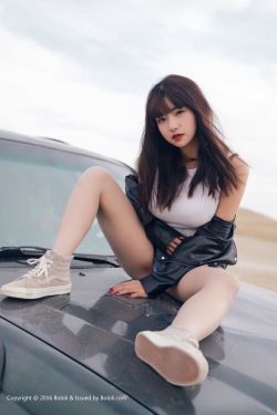 朝歌赋电视剧免费观看