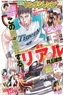 日本高清连接线